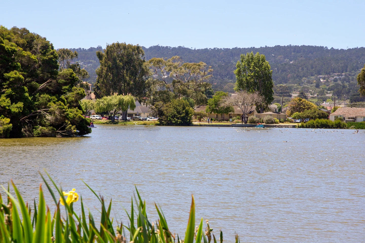 Lake El Estero